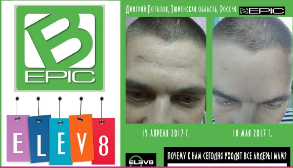 Elev8 - Bepic